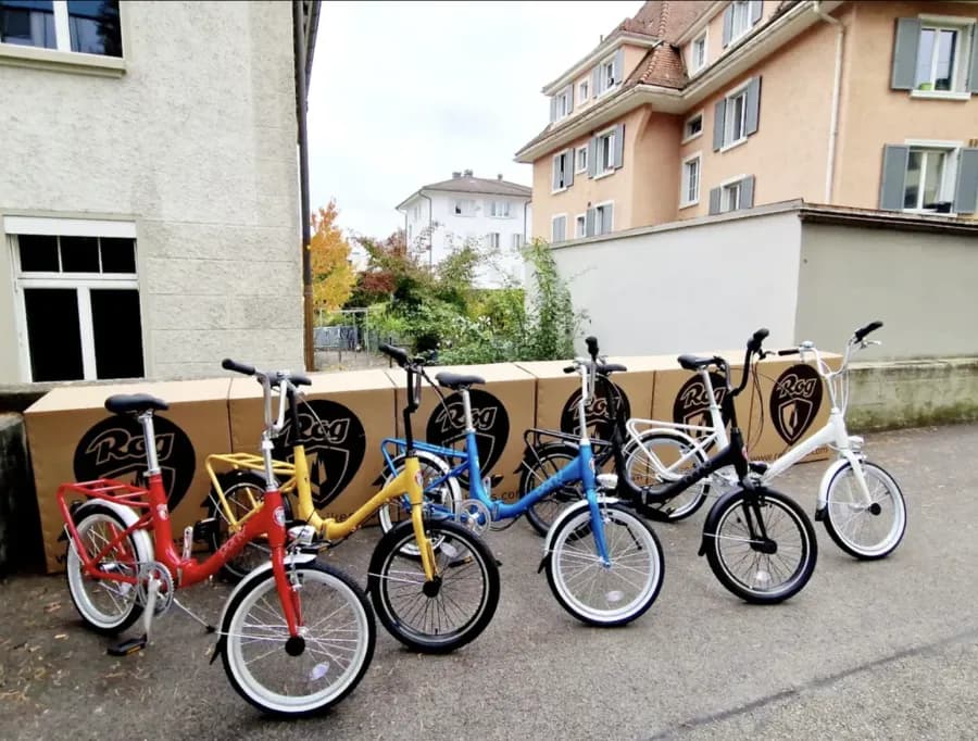 Ponys in Rot, Gelb, Blau und Weiss neben ihren Kartons