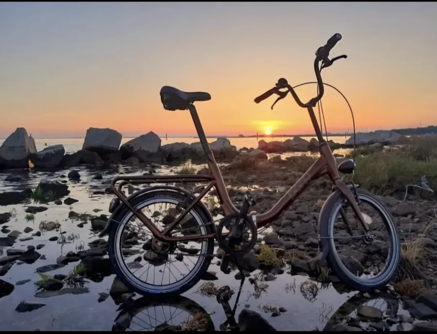Pony im Sonnenuntergang zwischen Steinen am Wasser